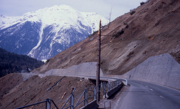 The devastation left by a giant avalanche in Eastern Switzerland in the highly unusual spring of 1999. 