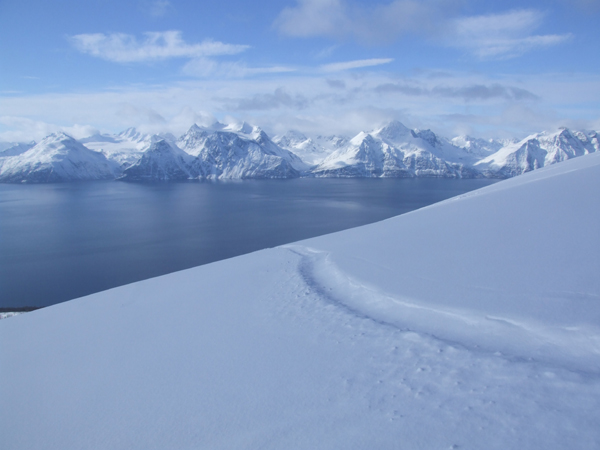 The Lyngen Alps, Arctic Norway, for more photos and brief details of a recent rip there see our Norway Ski Mountaineering page.