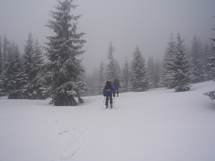 Skiing over the Ornak pass above Zakopane on a poor weather day, Polish Tatras