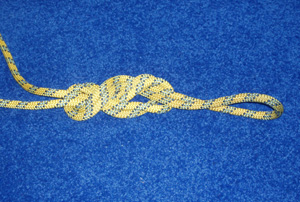 The figure-9 knot, tied by adding one more twist to a figure-8 on the bight