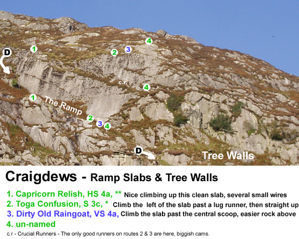 Forestry Commission Goat Park Ramp Slabs