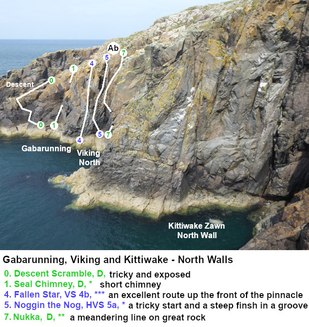 Kittiwake Zawn at Crammag Head.