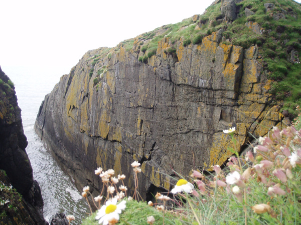 The main crag at the Kiln o the Fuffock, Galloway.  There are lots of hard but recommended E2-E4 routes on this steep greywacke buttress.