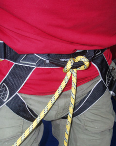 Centre Tie with Larksfoot