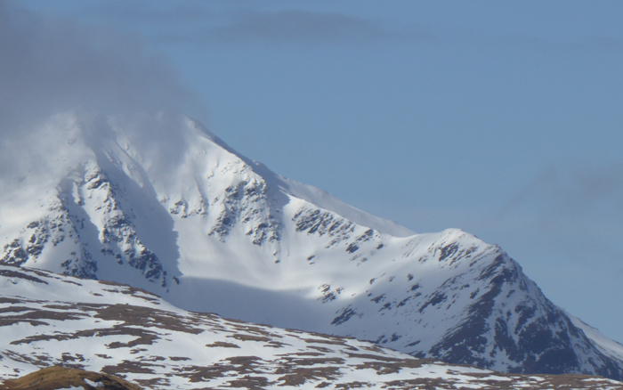 Central Gully o ben Lui is a sought after steep ski descent... not too narrow and not too steep. 