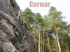 Corwar Crag near Newton Stewart