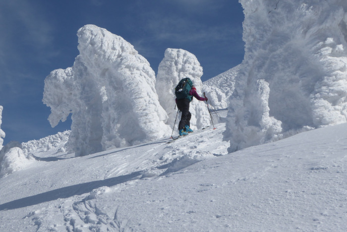 Skiing up thru the snow monsters on Hakkoda, Japan. 