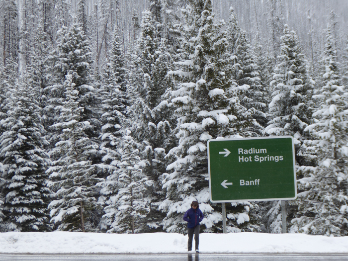 Kootenay National Park. 