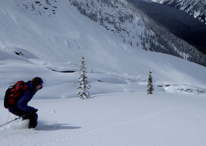 Skiing at Rogers Pass, Selkirk Mountians, Canada, April 2018. 